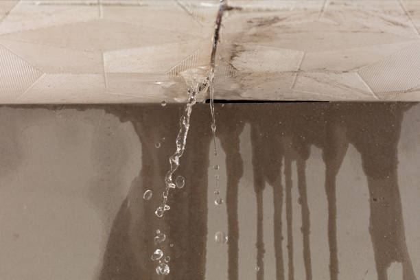 Professional Burst Pipe Cleanup technician working in Houston, AL